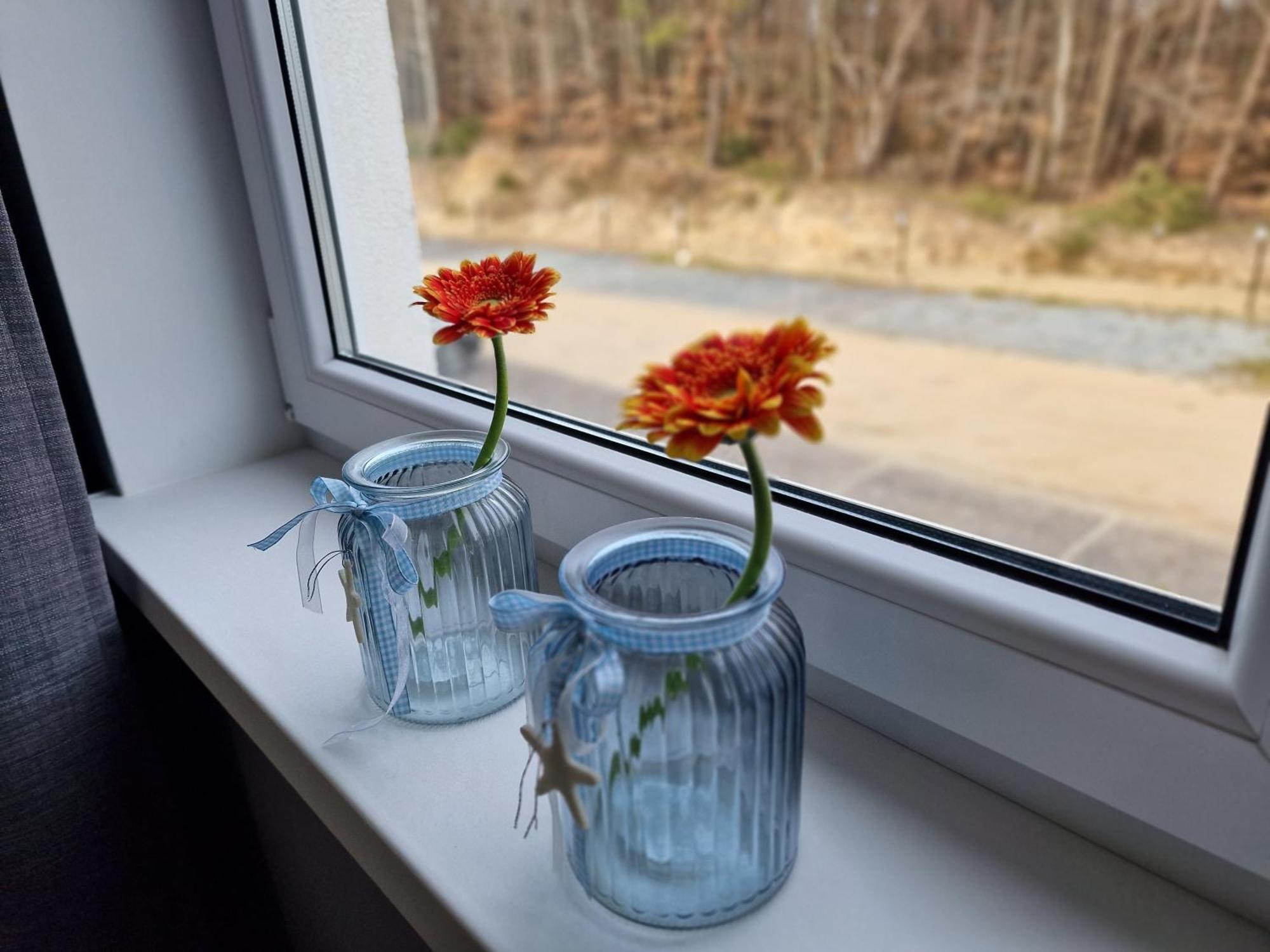 Apartament Mario Lesny Klif 2 Debina  Zewnętrze zdjęcie